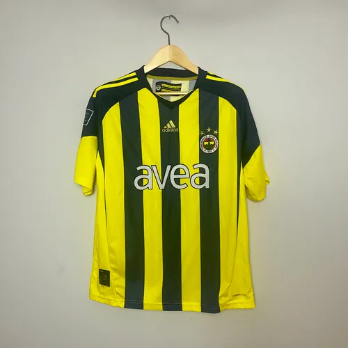 Fenerbahçe 2010/11